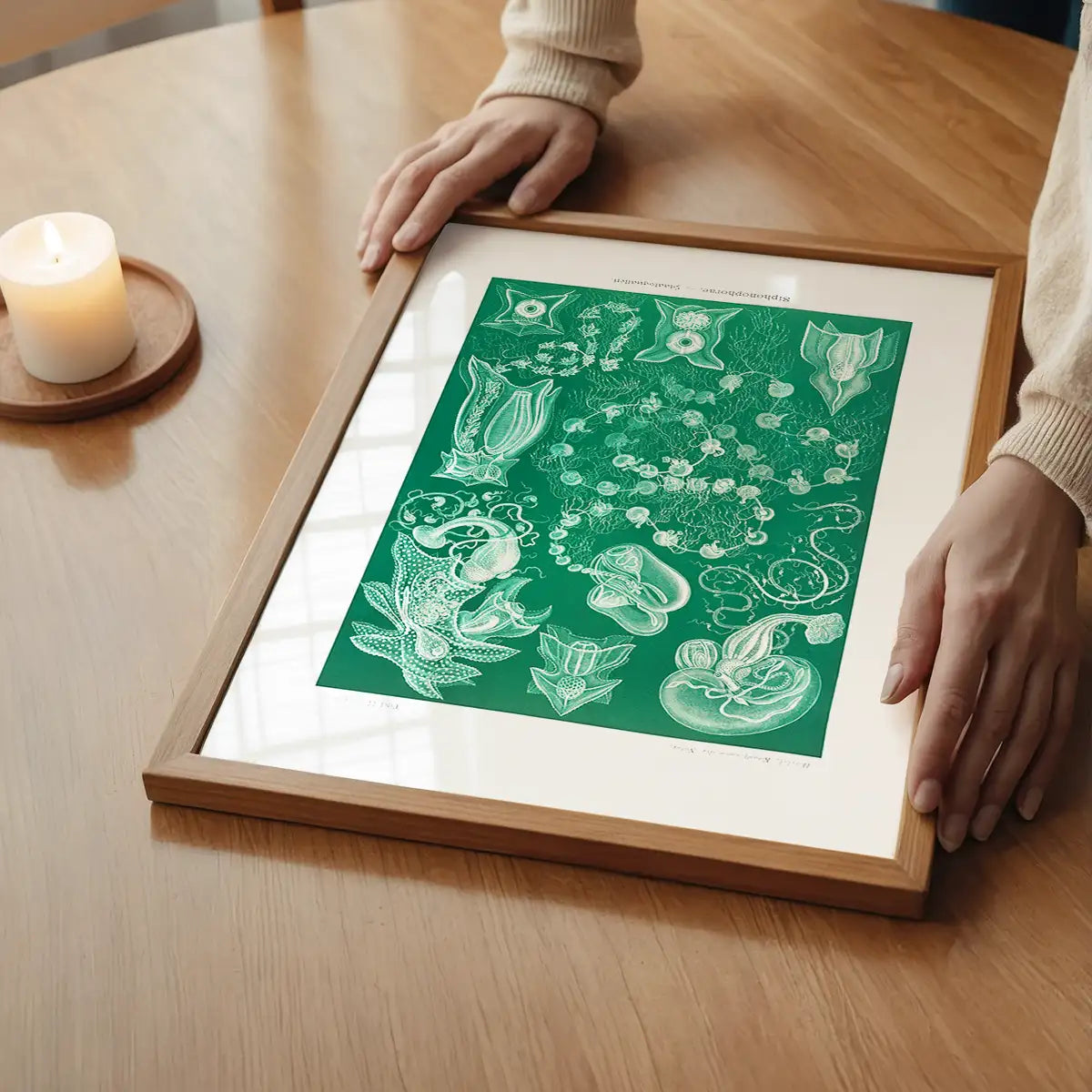 Algae Vintage Antique Green Print