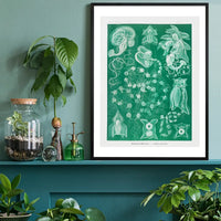 Algae Vintage Antique Green Print