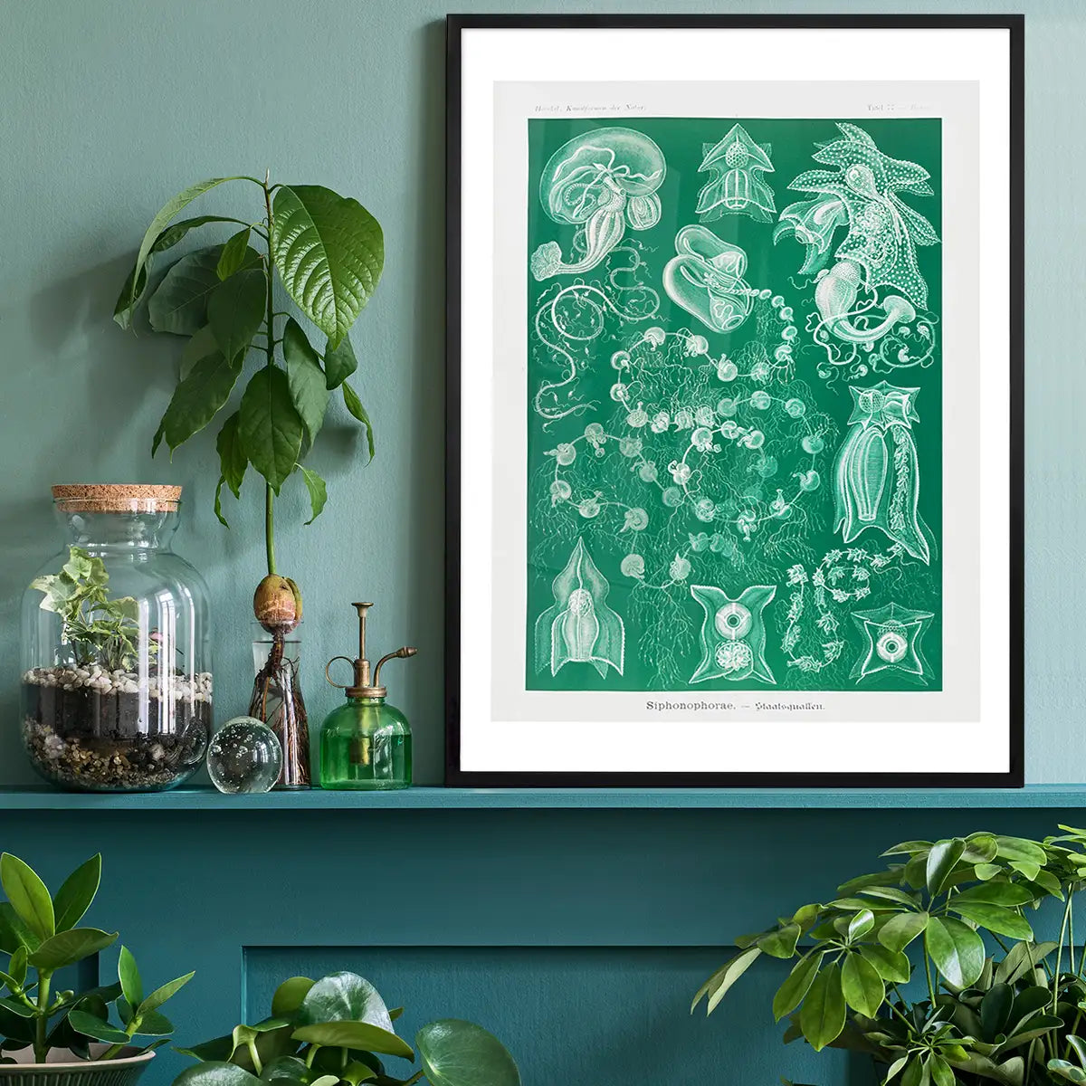 Algae Vintage Antique Green Print