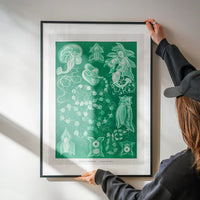 Algae Vintage Antique Green Print