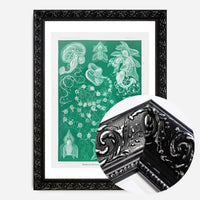 Algae Vintage Antique Green Print