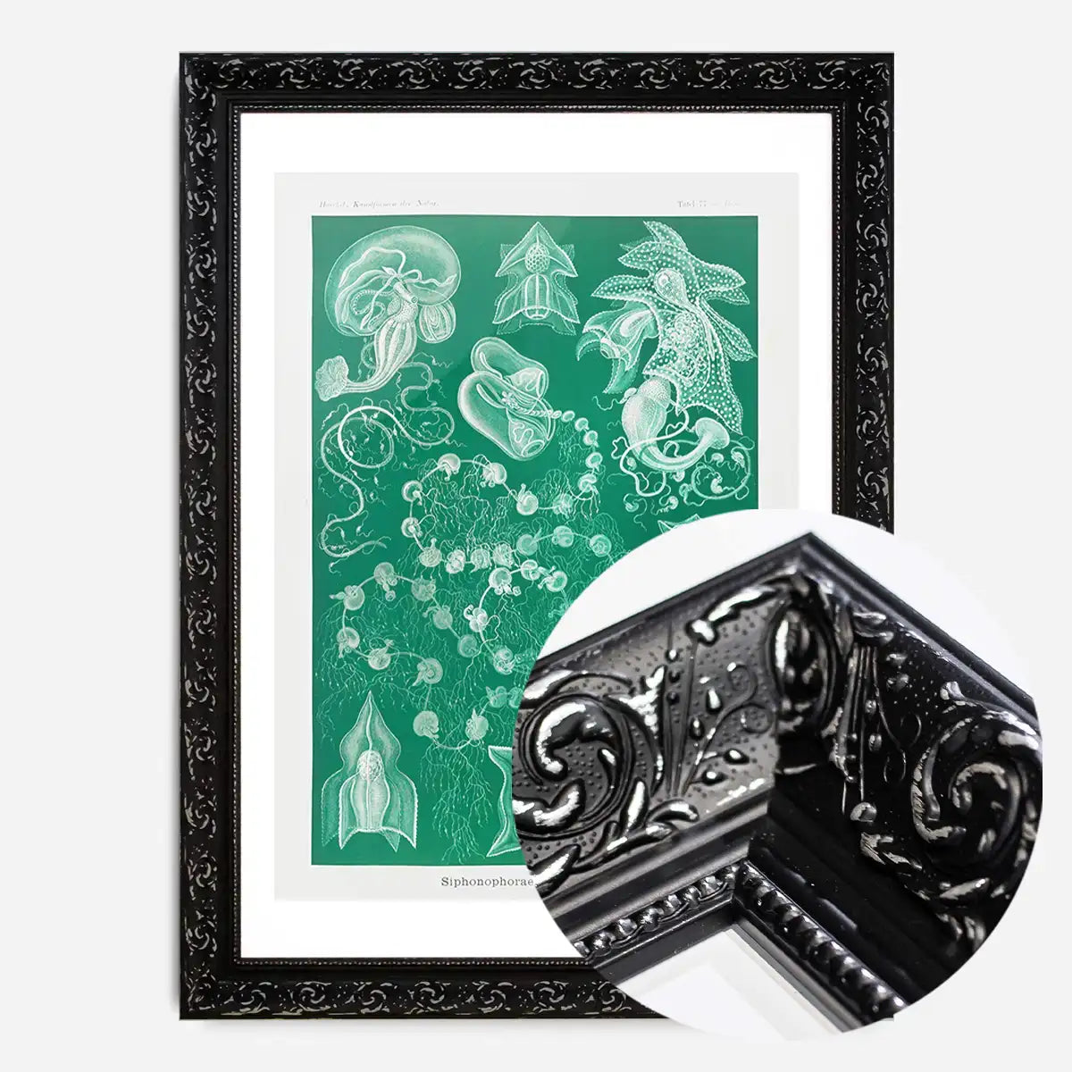 Algae Vintage Antique Green Print