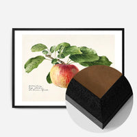Apple Landscape Vintage Antique Print