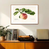 Apple Landscape Vintage Antique Print