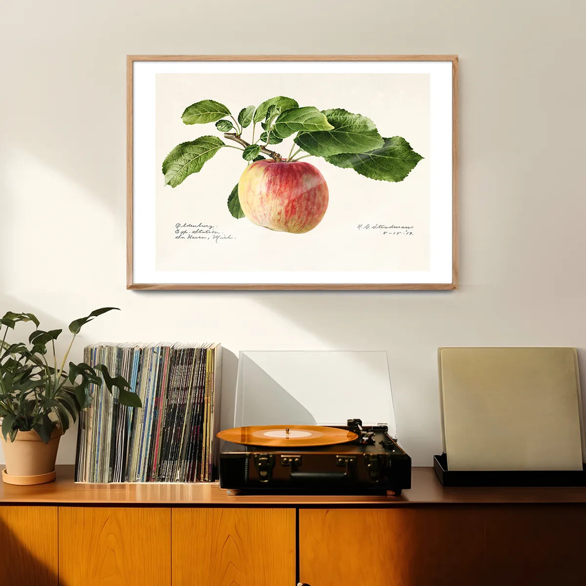 Apple Landscape Vintage Antique Print