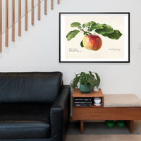 Apple Landscape Vintage Antique Print