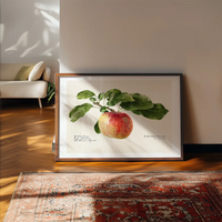 Apple Landscape Vintage Antique Print