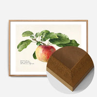 Apple Landscape Vintage Antique Print
