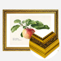Gold Ornate Frame
