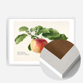 White Wood Frame