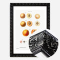 Black Ornate Frame