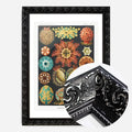 Black Ornate Frame