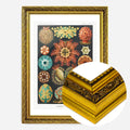 Gold Ornate Frame