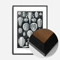 Black Wood Frame