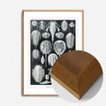 Oak Wood Frame