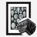 Black Ornate Frame