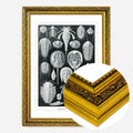 Gold Ornate Frame