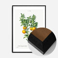 Black Wood Frame