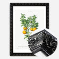 Black Ornate Frame