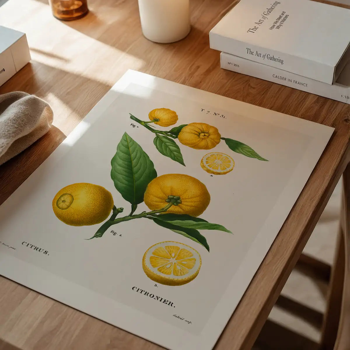 Citrus Lemon Vintage Antique Print