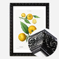 Black Ornate Frame