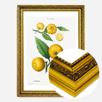 Citrus Lemon Vintage Antique Print