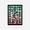 Print Only