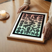 Corals Pink And Green Antique Print