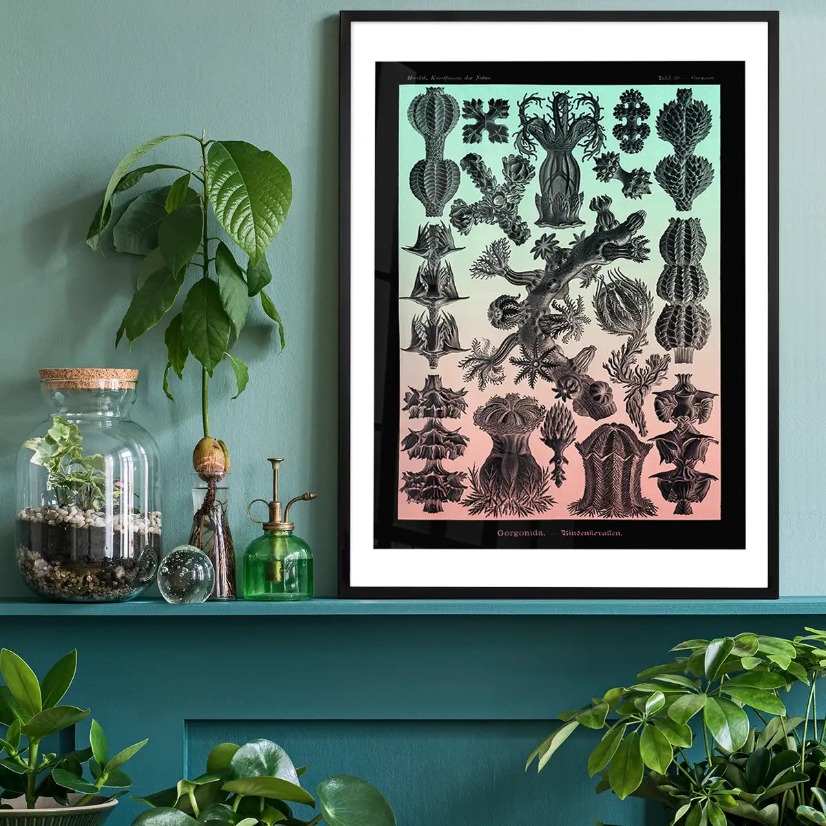 Corals Pink And Green Antique Print