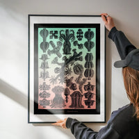 Corals Pink And Green Antique Print