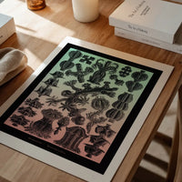 Corals Pink And Green Antique Print
