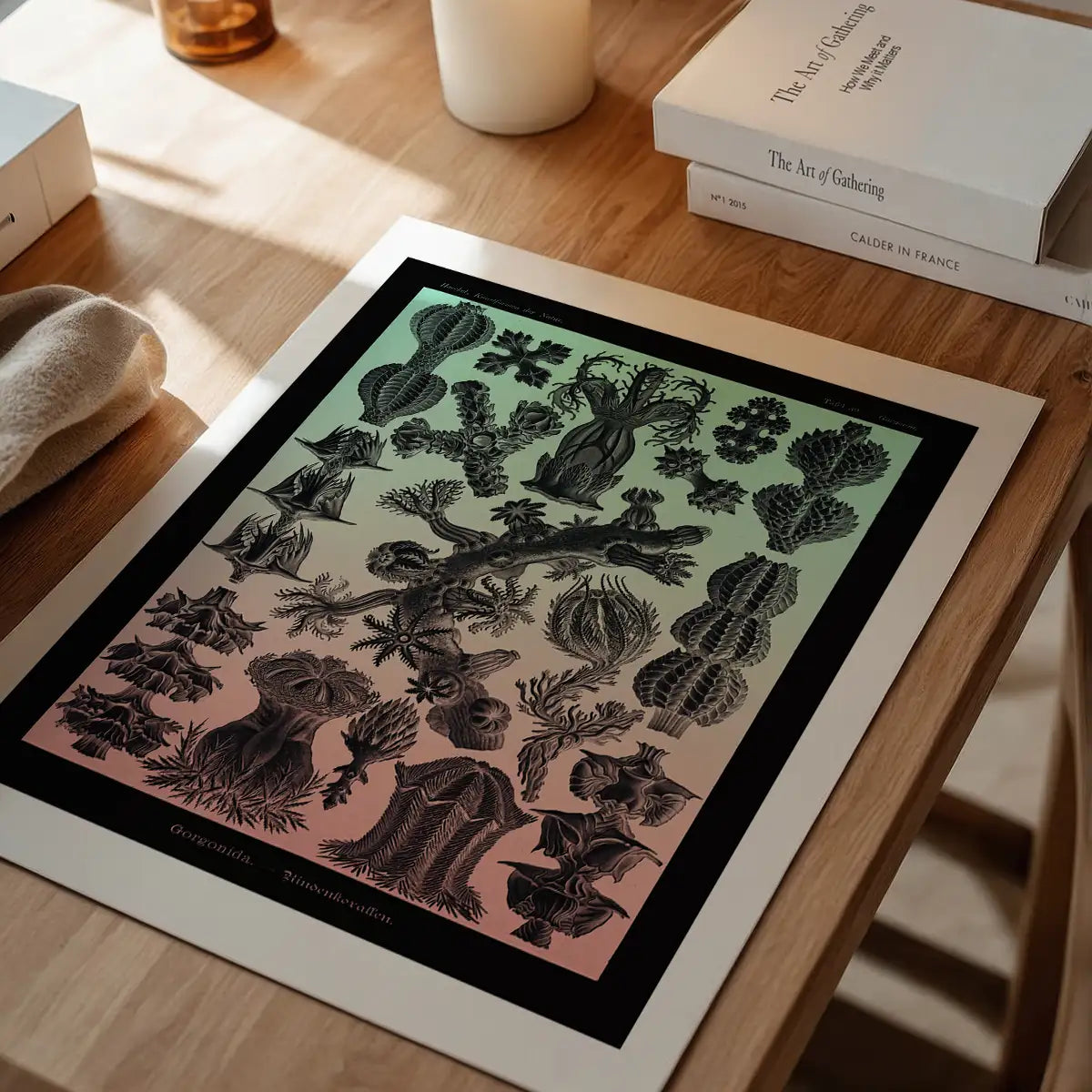 Corals Pink And Green Antique Print