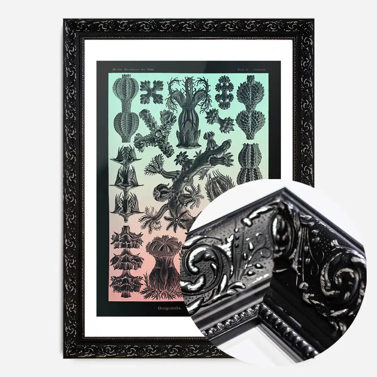 Corals Pink And Green Antique Print