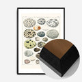 Black Wood Frame