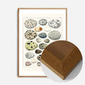 Oak Wood Frame