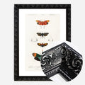 Black Ornate Frame