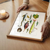 Fish Vintage Antique Print