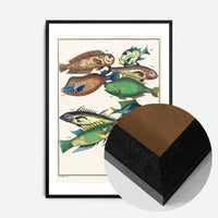 Fish 2 Vintage Antique Print