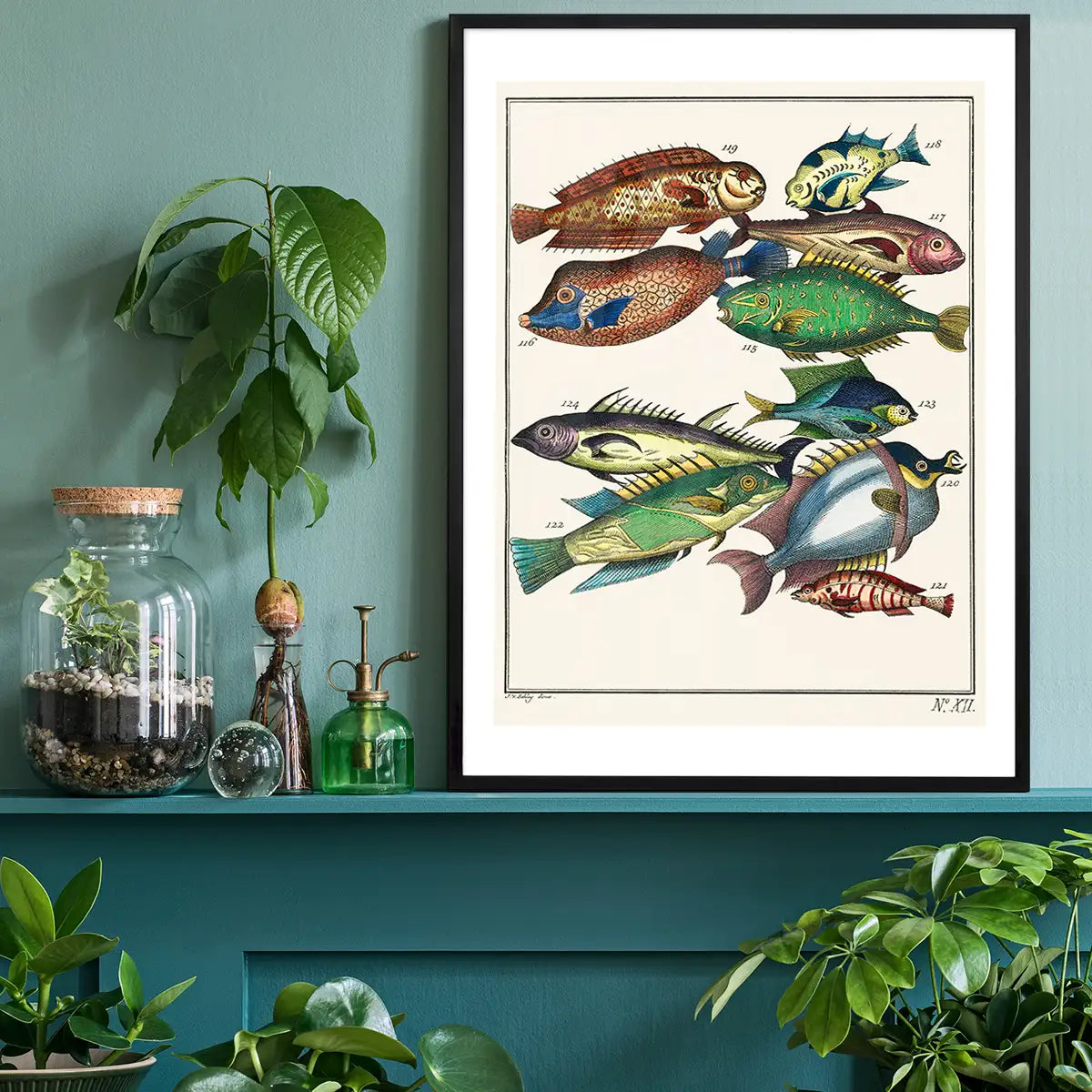 Fish 2 Vintage Antique Print