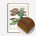 Oak Wood Frame