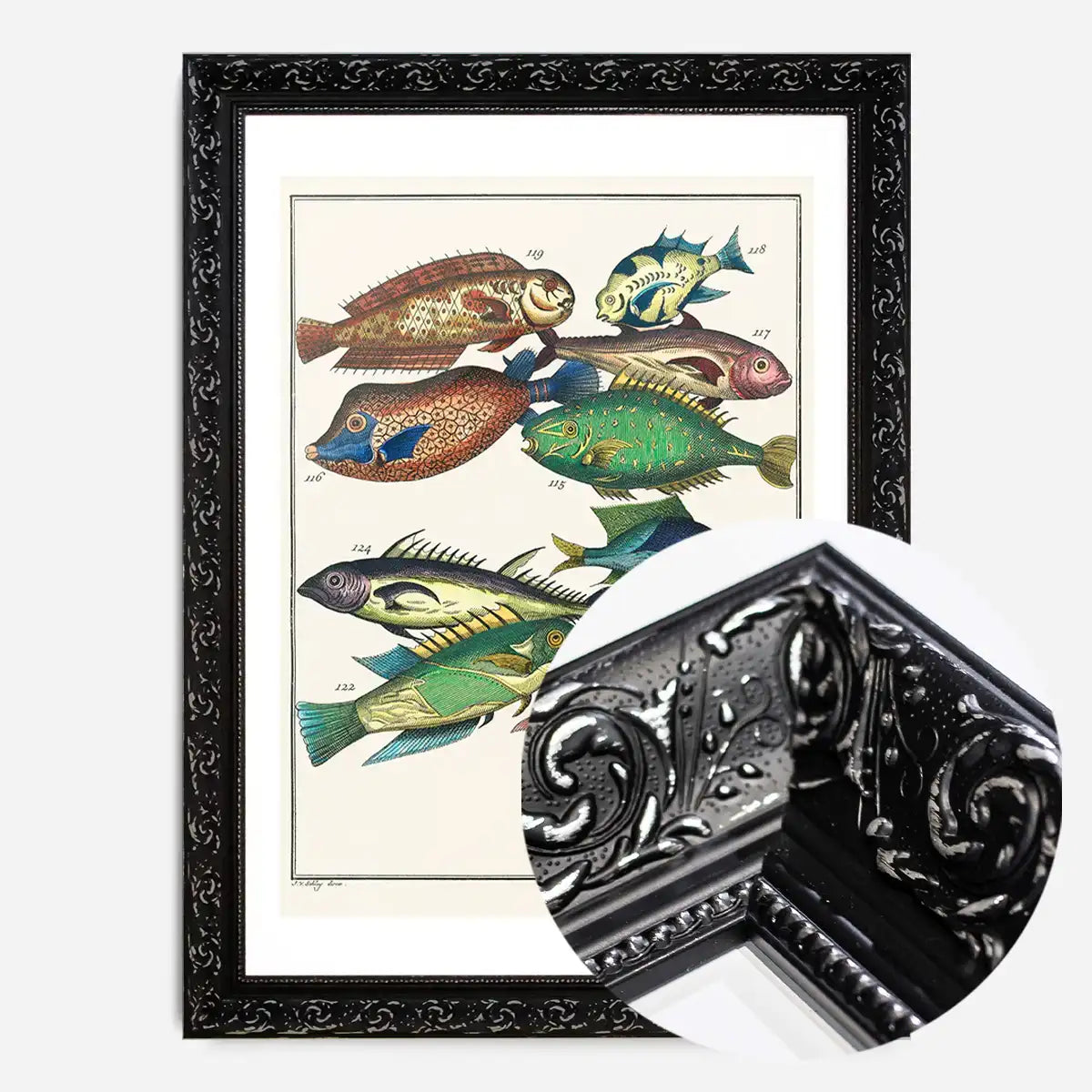 Fish 2 Vintage Antique Print