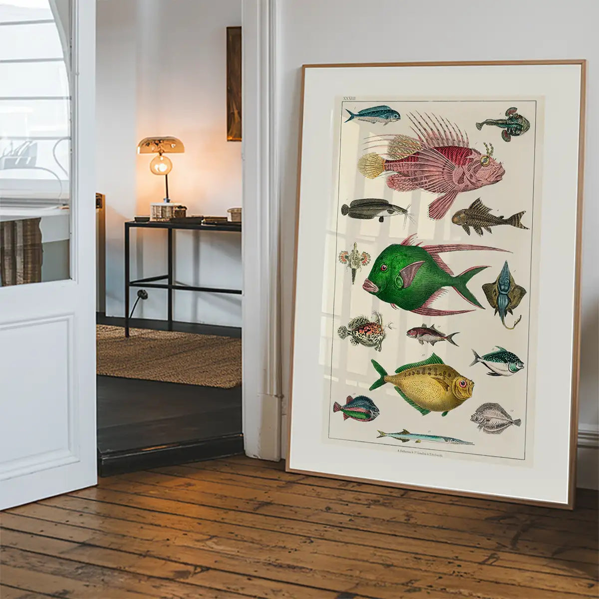 Fish 3 Vintage Antique Print