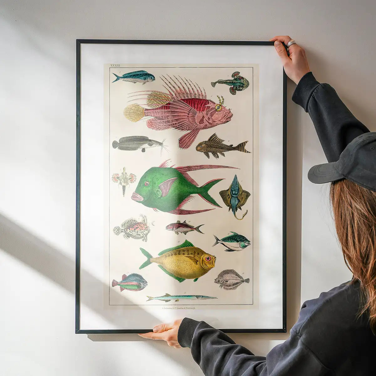 Fish 3 Vintage Antique Print