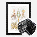 Black Ornate Frame