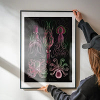 Gamochonia Octopus and Squid Vintage Black Antique Print