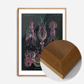 Oak Wood Frame