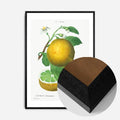 Black Wood Frame