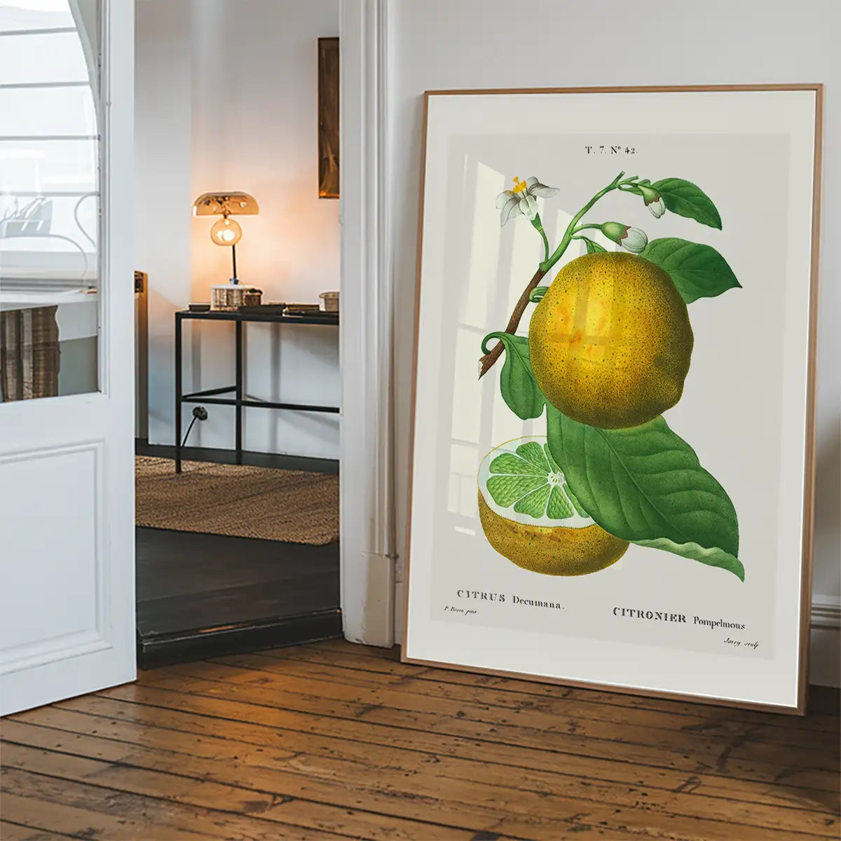 Grapefruit Vintage Black Antique Print
