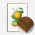 Oak Wood Frame