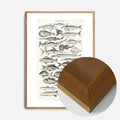 Oak Wood Frame